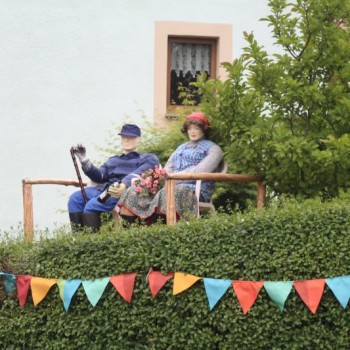 Das Siegergrundstück 2018