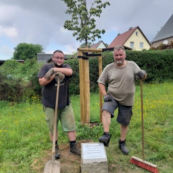 Verlegung des Gedenksteins an der Einheitslinde