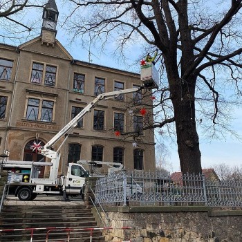 Die Firma Stasch übernimmt die Instalation der elektrischen Zuleitung.