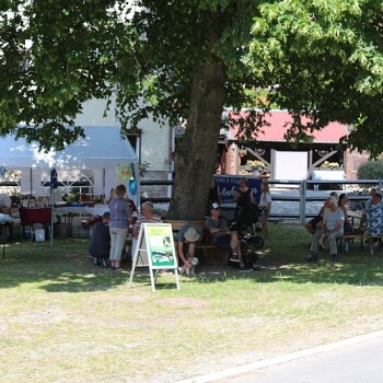 Beliebter Platz - unter der schattigen Linde