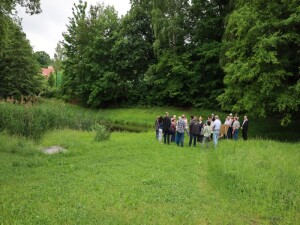 Ankunft am Weidendom