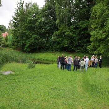 Ankunft am Weidendom